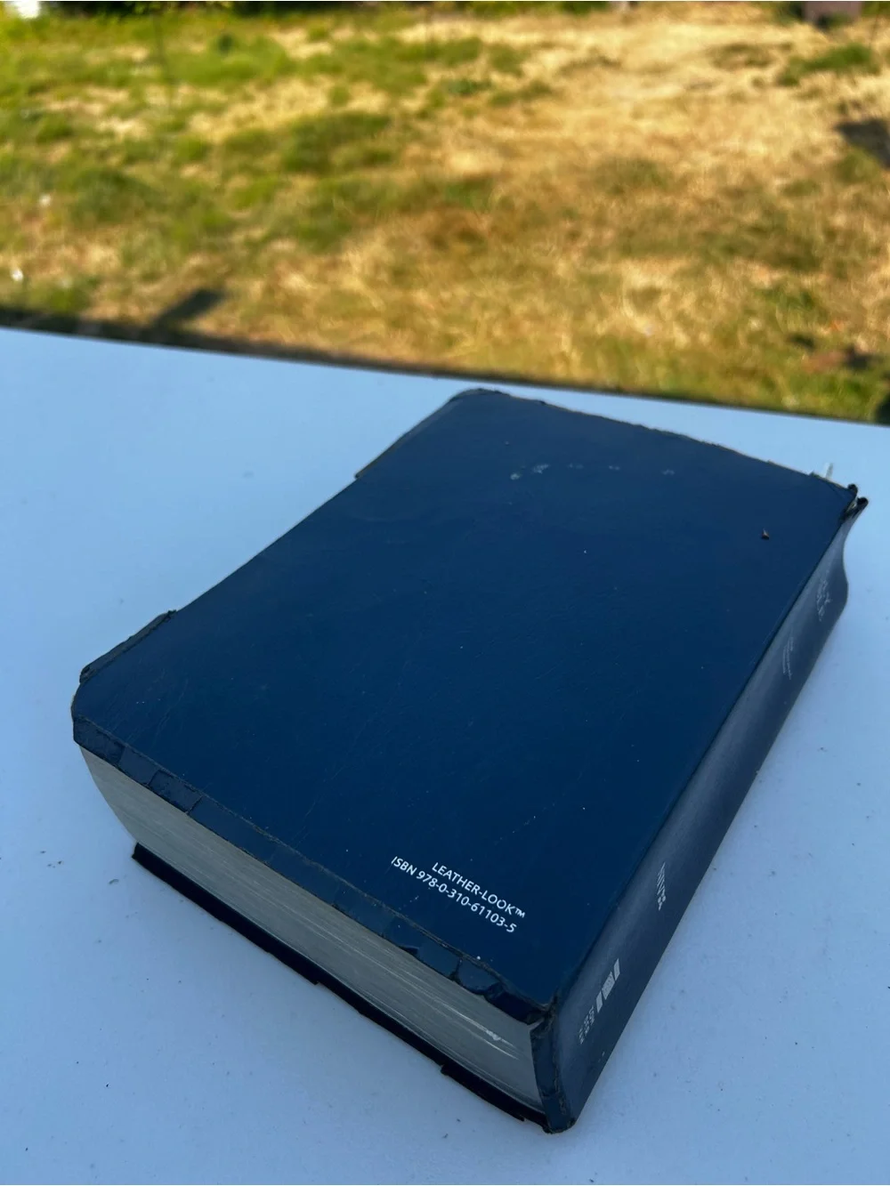 Holy Bible holy bible